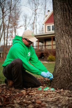 Greenhaven Tree Care Services - Planet Healthcare